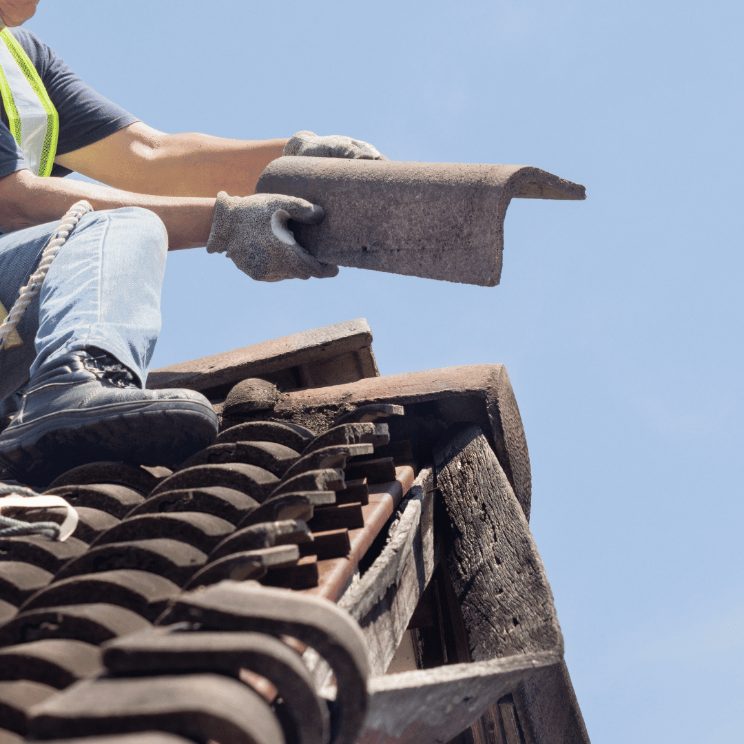 Professional Roofer